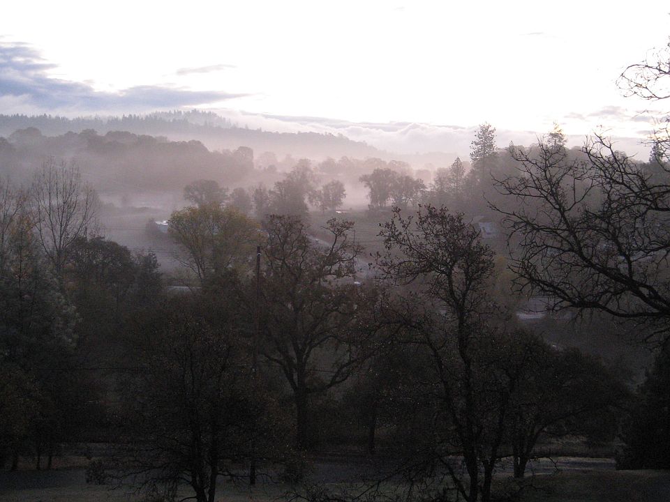 the winter view