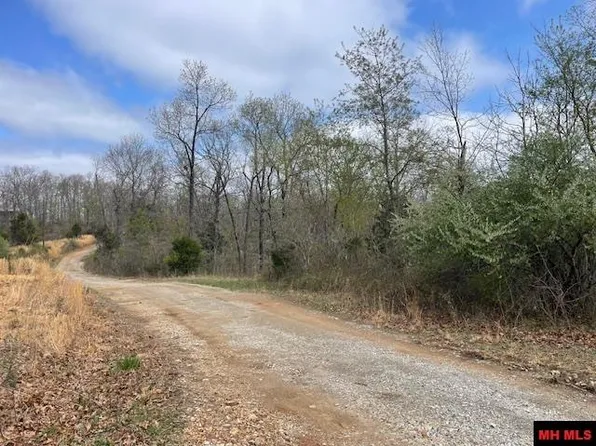 150 Zone Ridge Ln, Yellville, AR 72687