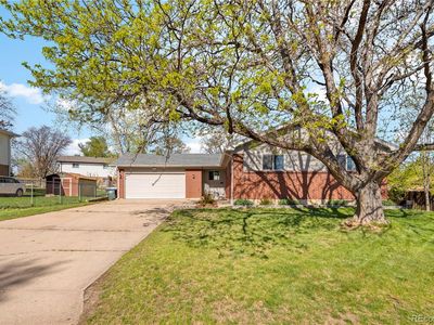 9883 Alamo Drive, Northglenn, CO, 80260