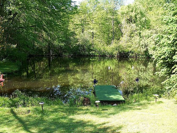 Pond View2