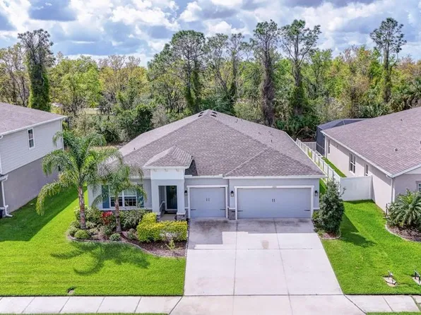 11415 61st St E, Parrish, FL 34219