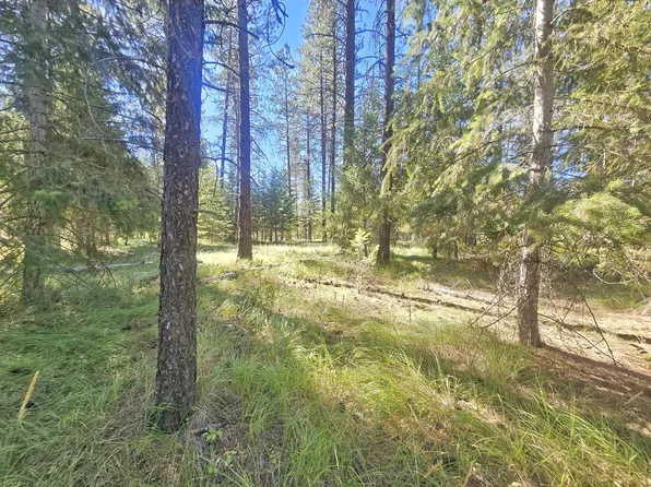 270 Eagle Dr, Chewelah, WA 99109