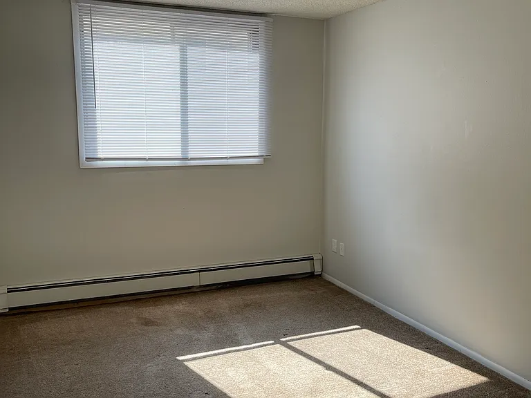923 E College St #2S — Photo 6