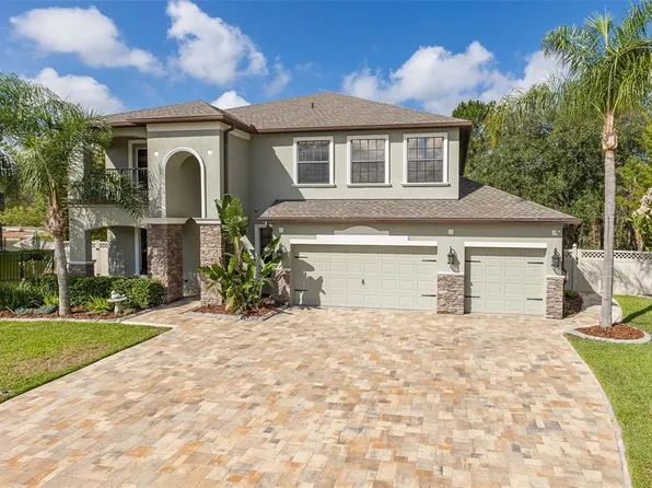 14810 Ninebark Ct, Land O Lakes, FL 34638