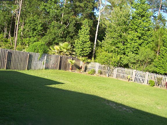 Back yard