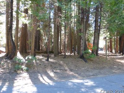 4664 Blackfoot Cir, Camp Connell, CA, 95223
