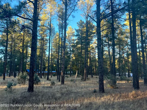 1208 Mechem Dr, Ruidoso, NM 88345