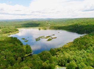 122 Jaketown Rd, Swan Lake, NY 12783