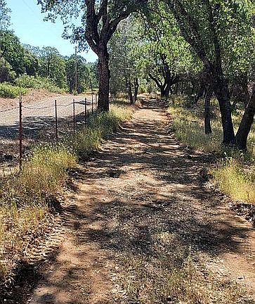 Fire break along Allred Rd. 