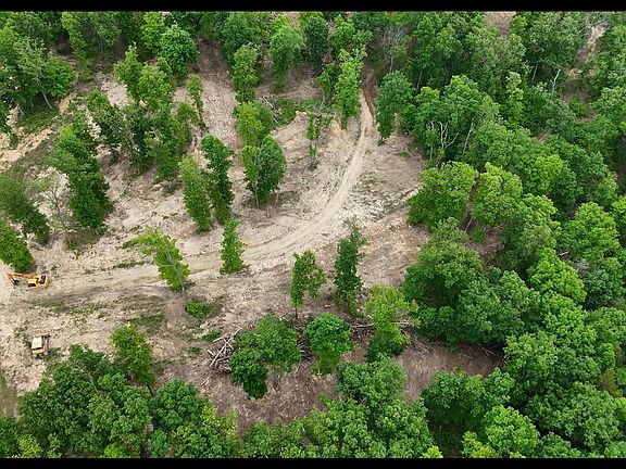 2nd image of Cub Run Rd