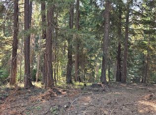 0 Bitterroot Ln, Ronald, WA 98940