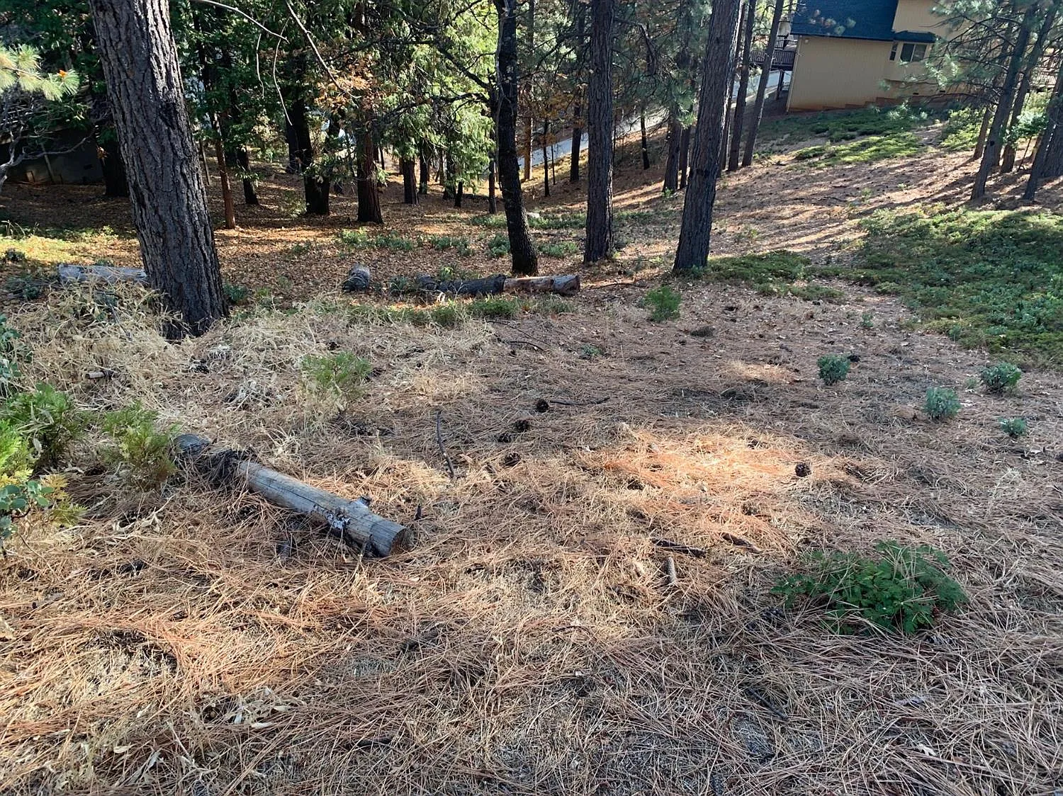2270 El Dorado Dr photo 1