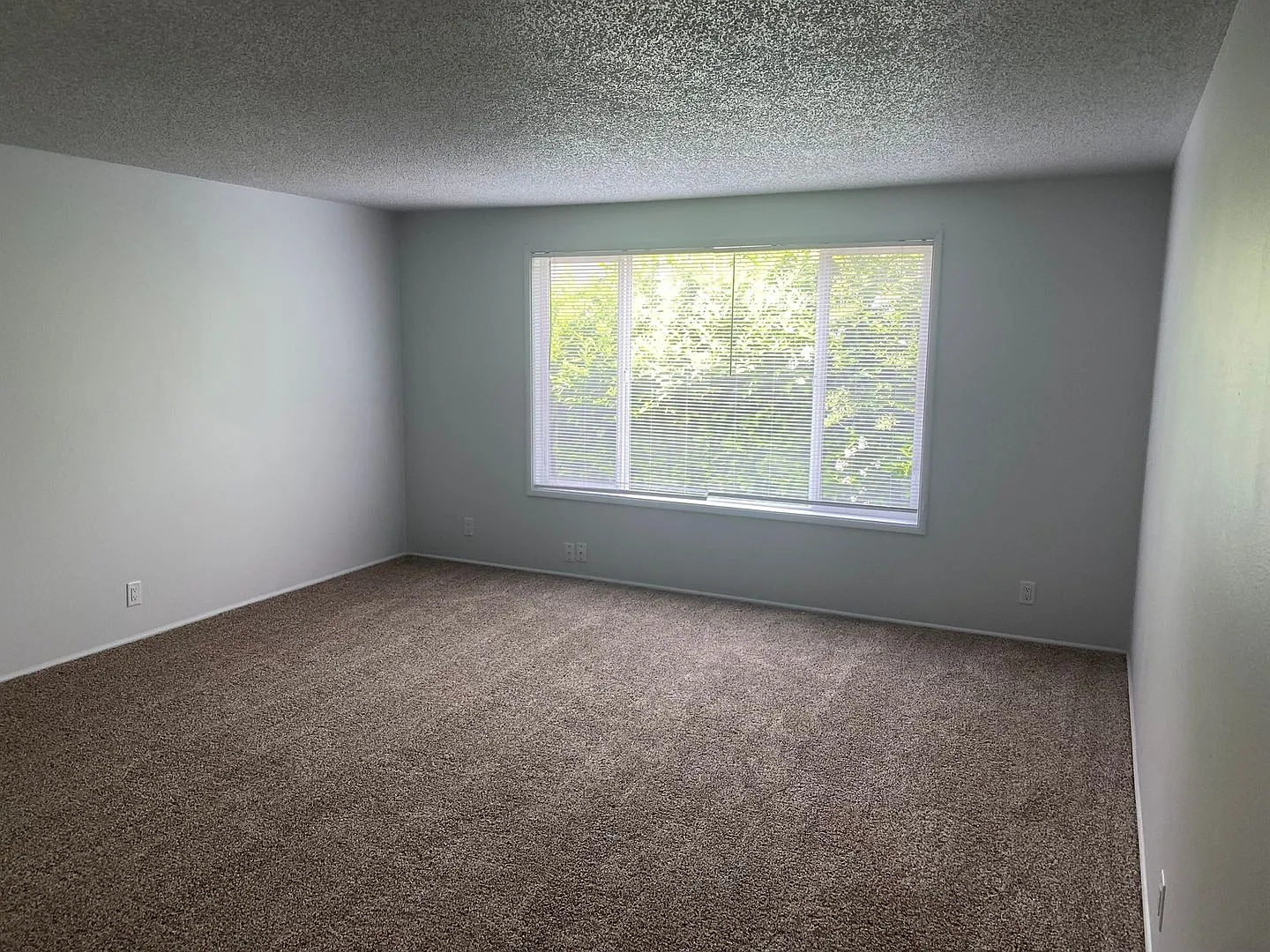 dini01 531 W. 11th Ave — Photo 1