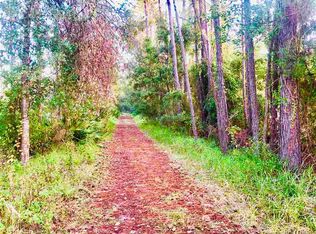 126 Sentinel Dr, Crescent City, FL 32112