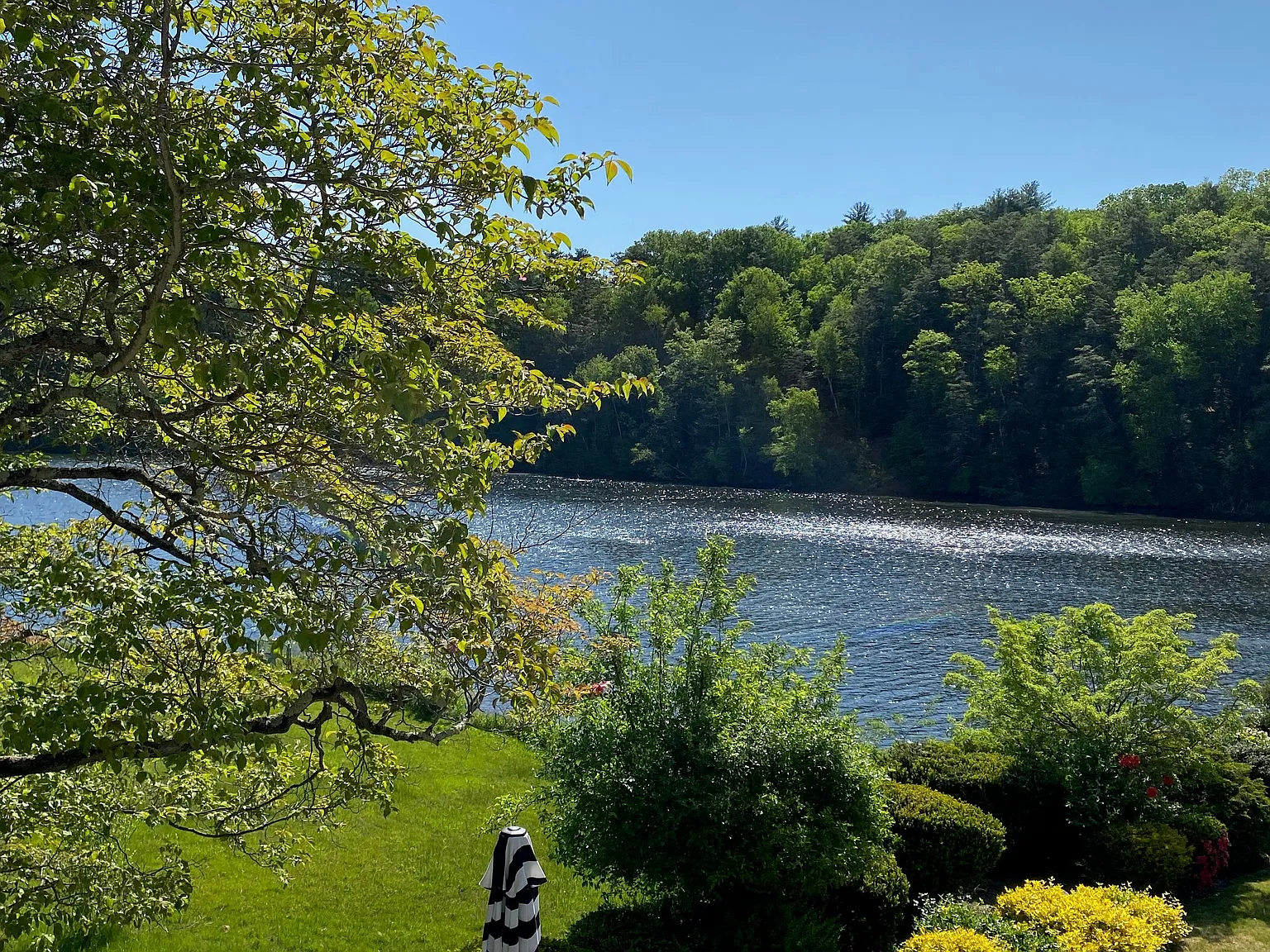 2 bed, 1292 sqft, $2,500 — Photo 1