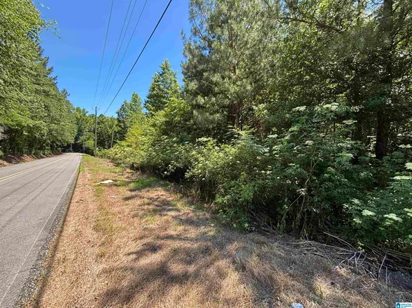 0 Hazelwood Dr, Pell City, AL 35125