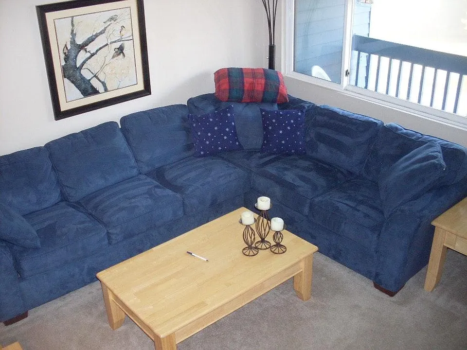 Living Room w/pullout