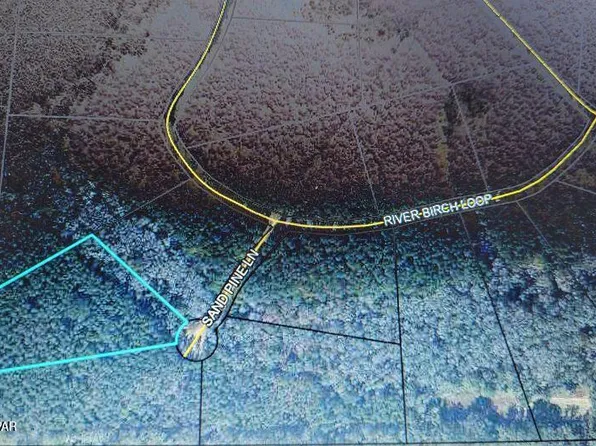 63 Sand Pine Ln, Westville, FL 32464