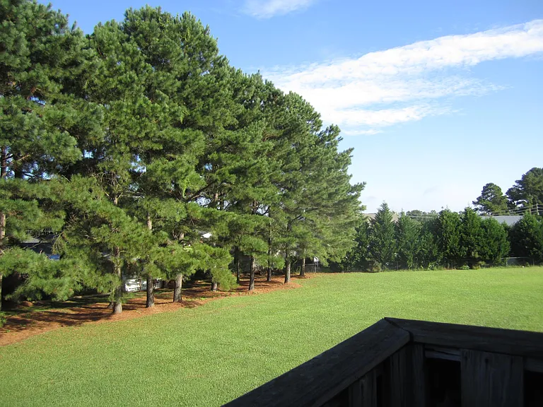 759 Stoney Creek Church Rd #B — Photo 8