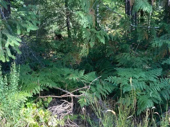 21 N Goldeneye Drive, Hoodsport, WA 98548