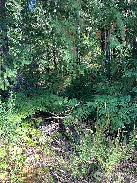 21 N Goldeneye Drive photo 1