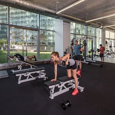 Rented by Two Trees | media 30