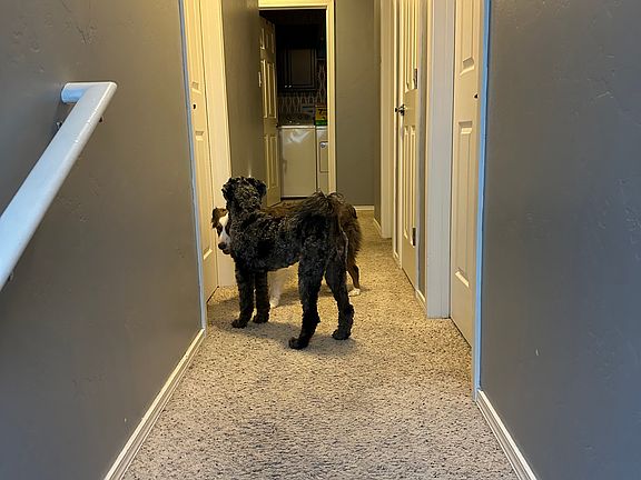 2nd image of 853 Valencia