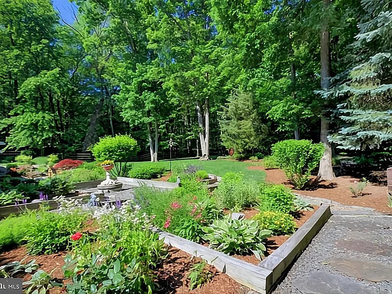Backyard on a bright sunny day.