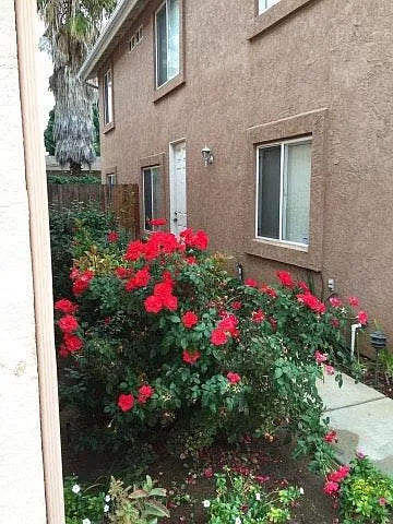 547 Hart Dr