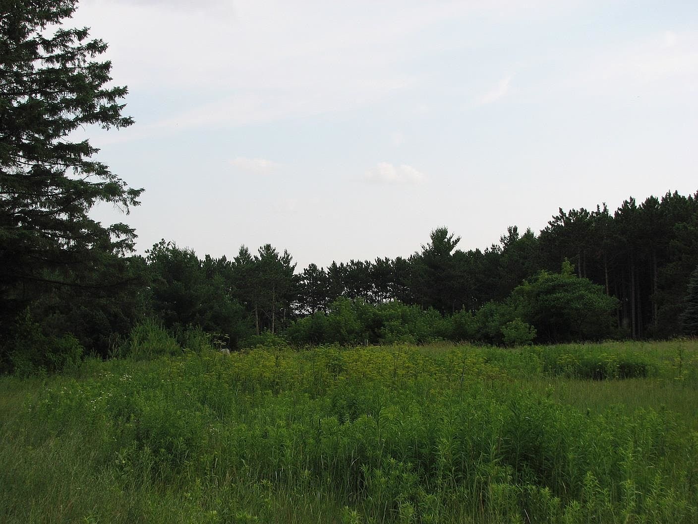 197 E Loberg Rd, Iola, WI 54945 MLS 50278413 Zillow