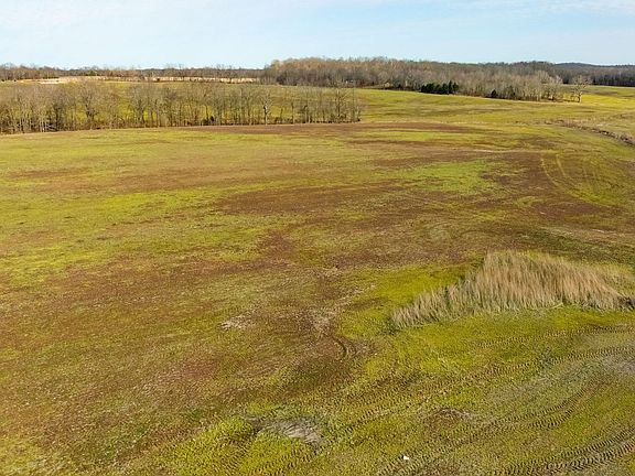 5th image of 10 Daniel Boone Rd