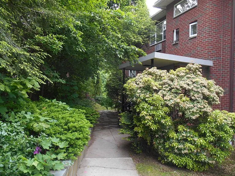 219 Kent St #5 — Photo 7