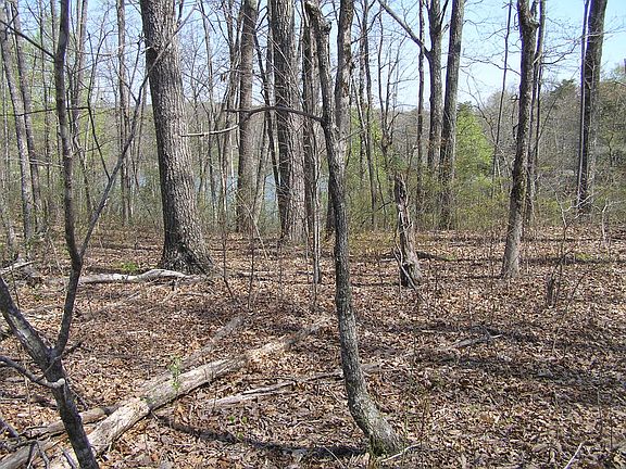 3rd image of 25 Gray Creek Rd Lot 25