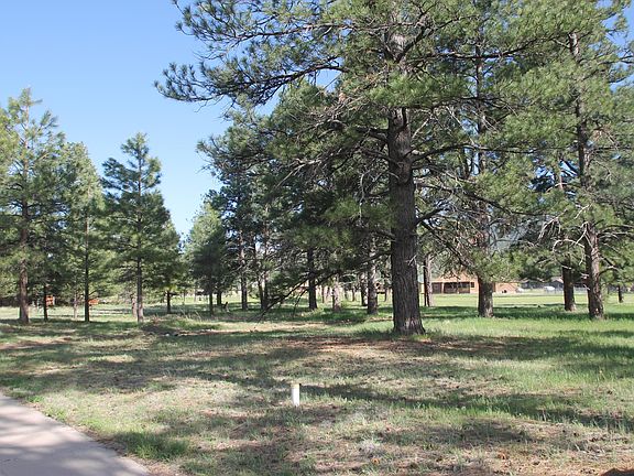 3rd image of 2799 W Brookhollow Dr