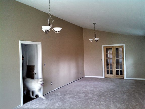 Great room. Dog not included