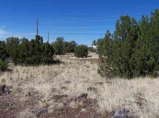 1813 Smith Pl, Show Low, AZ 85901