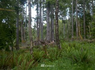 0 Government Quarry Rd, Naselle, WA 98638