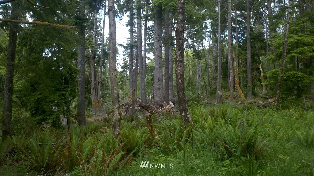 0 Government Quarry Road photo 1