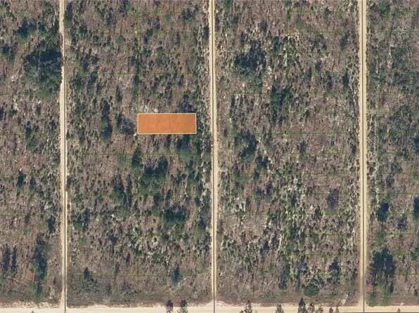 Dothan St, Interlachen, FL 32148