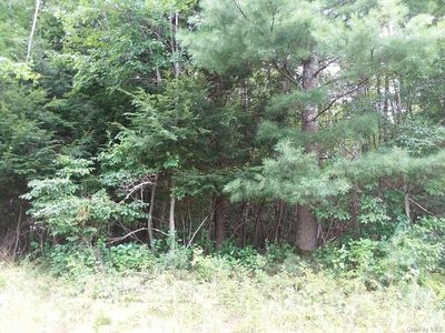  Briscoe Road, Bethel, NY, 12720