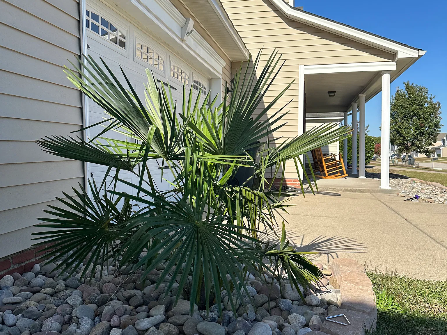 4 bed, 2.5 bath, 2021 sqft, $2,300 — Photo 3
