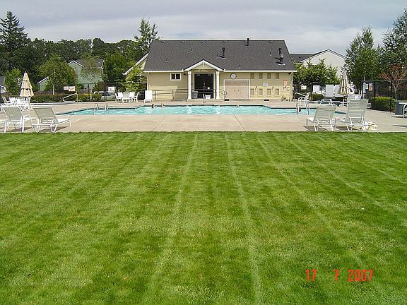 Neighborhood Pool