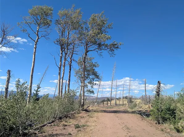 2553 Fine Place, Fort Garland, CO 81133