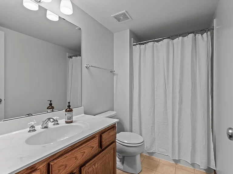 Lower Level Bathroom
