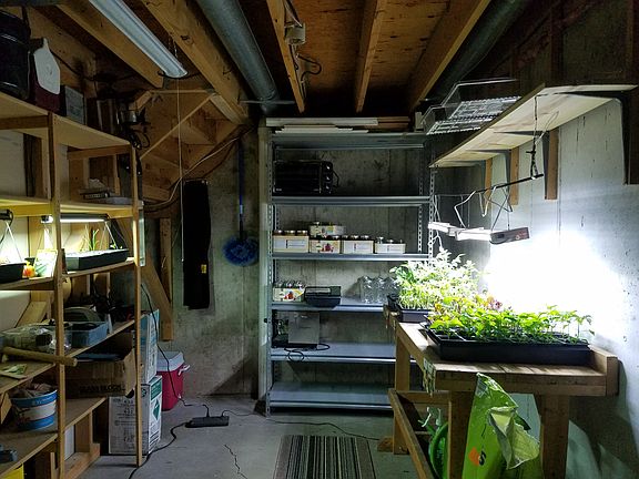 Basement Storage Room