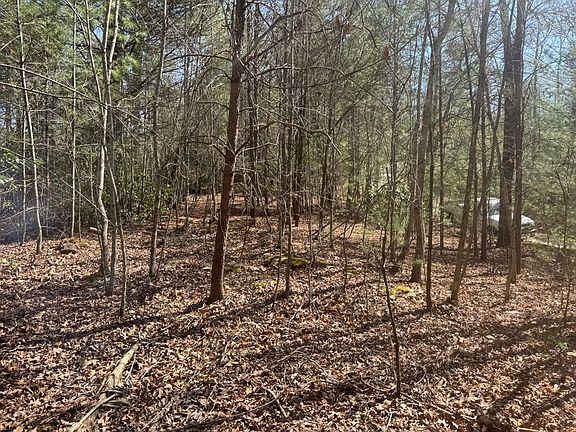 2nd image of 0 Blue Ridge Ln