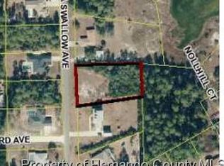 7024 Bahama Swallow Ave, Weeki Wachee, FL 34613