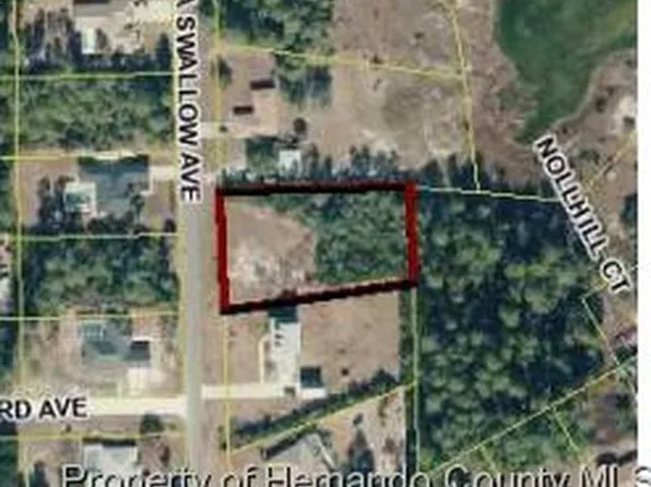 7024 Bahama Swallow Ave, Weeki Wachee, FL 34613