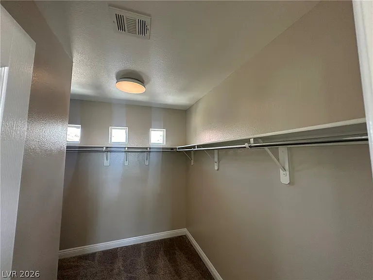 9007 Mossy Hollow Ave — Photo 10