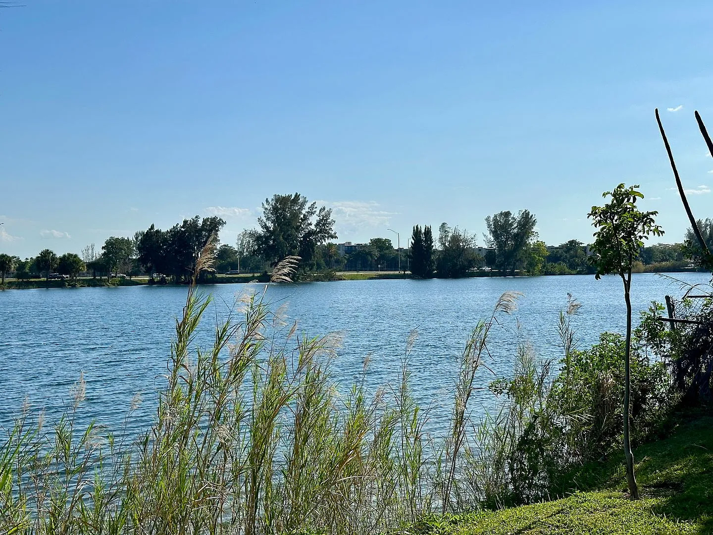 Crystal Lake Condominiums — Photo 1